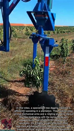 How to Dig a Tree Fast || Tree Removal Equipment