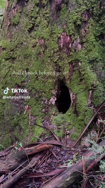 Exploring Fairycore: A Journey into Nature and Crafting