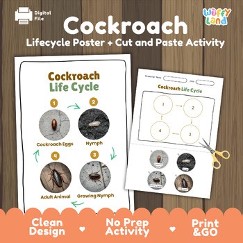Cockroach Life Cycle Chart & Cut and Paste Activity | Insect Biology Worksheet