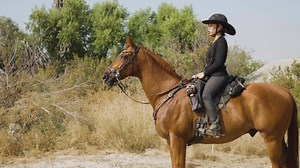 2.5K views · 79 reactions | Scoot Boots are the superior hoof boots for barefoot horses! Lightweight protection, no cables or velcro. FREE shipping when you use our FREE sizing service! | Scootboot | Facebook