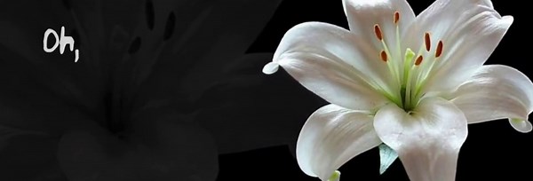 Don't let me down #lyrics #fyp #foryoupage