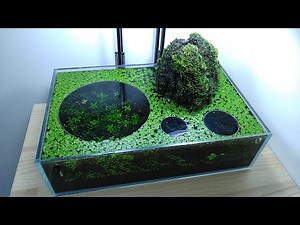 #3 Volcano Filter Betta Tank (Dante Eats Too Many Shrimps) YES filter, NO CO2, NO Ferts 7.6 Gallon