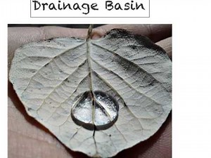 Drainage basin