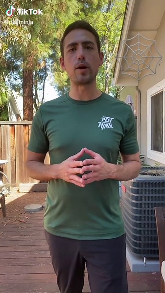 Remove Spiderwebs Like a Pro: DIY Guide