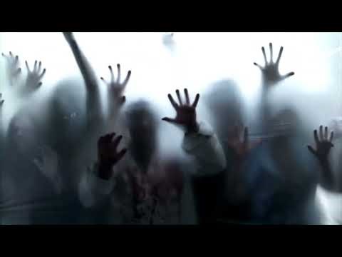 Terrifying Zombie Horde Halloween Window Projection – Ultimate Digital Display!