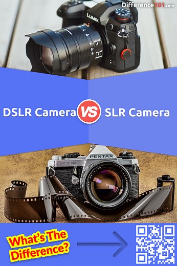 DSLR vs. SLR Camera: 6 Key Differences, Pros & Cons, FAQs