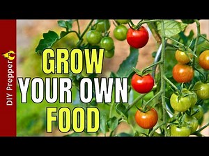 How to Grow Your Own Emergency Food Supply