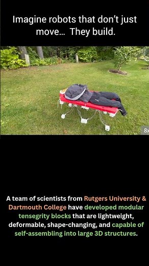 Self-Assembling Shape-Shifting Tensegrity Robots