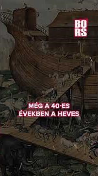 Megtalálhatták Noé bárkáját! #bors #noébárkája #araráthegy #törökország #biblia #kutatók
