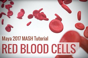 Creating Red Blood Cell Animation With MASH