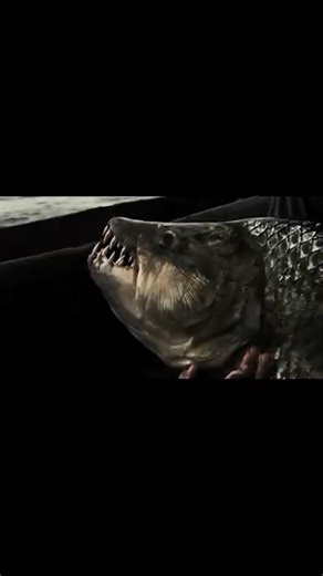 is this Russian Fishing 4?! do you want to catch as well? come to our TG channel #cheats #hacktool