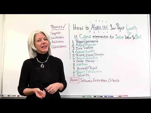 Project Management: How to Mobilize Your Project