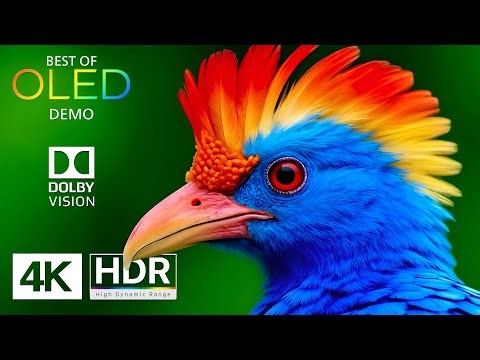 Best of OLED Demo in 4K HDR 120fps - Dolby Vision