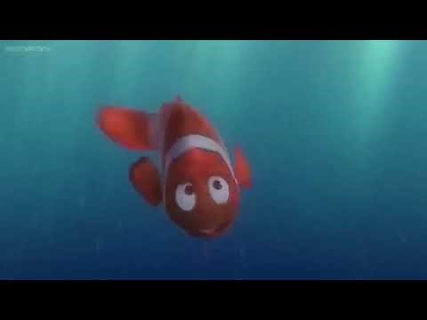 Finding Nemo (2003) Meet Marlin & Dory Scene