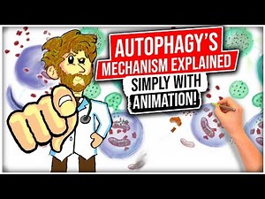 Autophagy Mechanism EXPLAINED SIMPLY With ANIMATION!