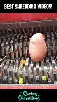 BEST SHREDDING (Oddly Satisfying)!