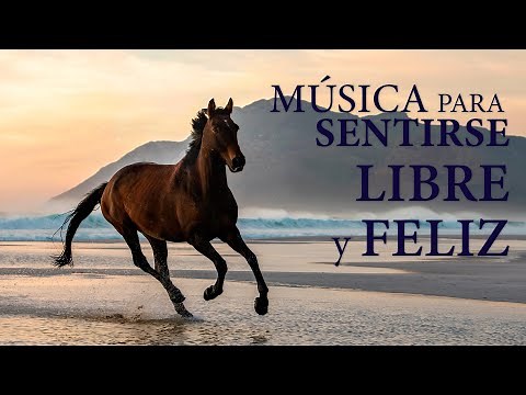 Musica Instrumental para Una Mente Libre y Feliz ¡FEEL FREE! ..fab choice...❤