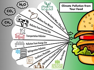 Food Waste Prevention