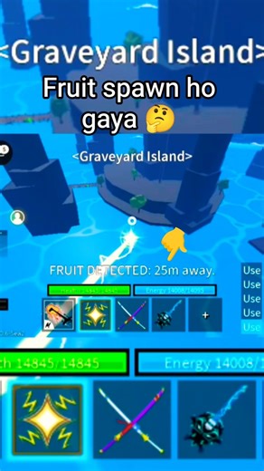 blox fruits and fruit notifier 🤔