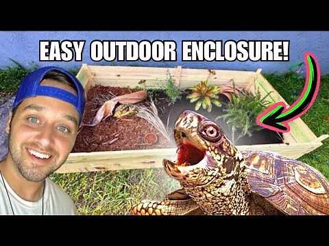 HOW TO BUILD The Best TURTLE/TORTOISE ENCLOSURE!!! (DIY)