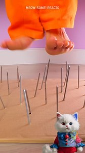 417K views · 1.7K reactions | Survival Challenge  Find a Way to Escape From the Police!  | Meow-some | Facebook