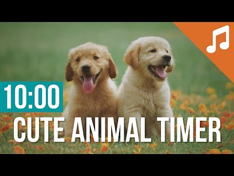 10 Minute Timer for Classroom with Music | Cute Animal Countdown for Kids
