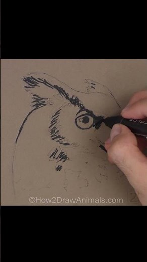 Great Horned Owl Sketch (Pen and Markers)