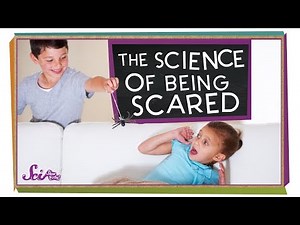 The Science of Being Scared