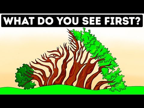 40+ Optical Illusion Challenge: Can You Outsmart Your Own Eyes?