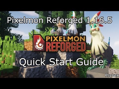 Pixelmon Reforged 1.16.5 Server Tutorial // Quick Start Guide