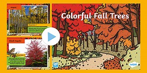 Colorful Fall Trees PowerPoint for K-2nd Grade