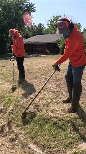 Front Yard Goes from Wild To WOW!
