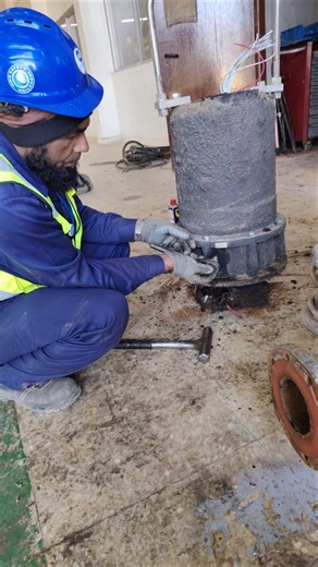 pump maintainance (stp)