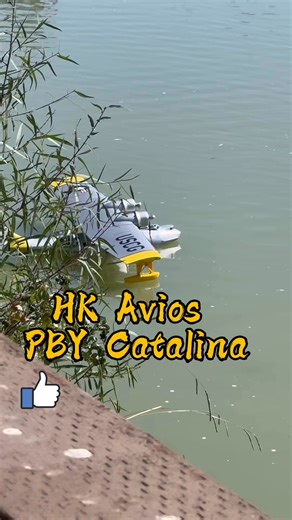 625K views · 19K reactions | @ Lake Minden Pby Catalina #Aviation #RC #RCPlane #outdoors | RC Lovers | Facebook