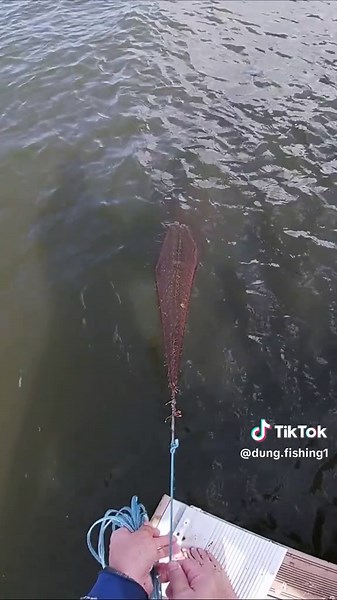 Testing Affordable Cast Net at Fishing Pier