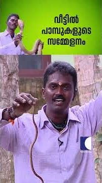 വീട്ടിൽ പാമ്പുകളുടെ സമ്മേളനം #snake #vavasuresh #rescue