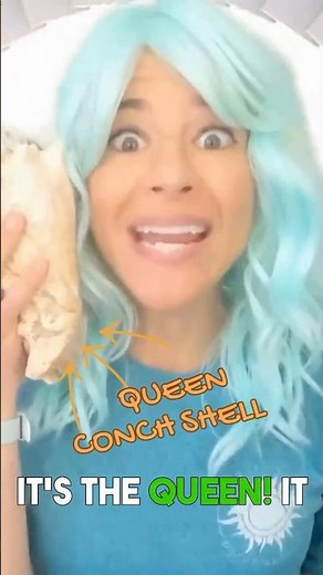 Conch Shells Are Alive, And They're Weird