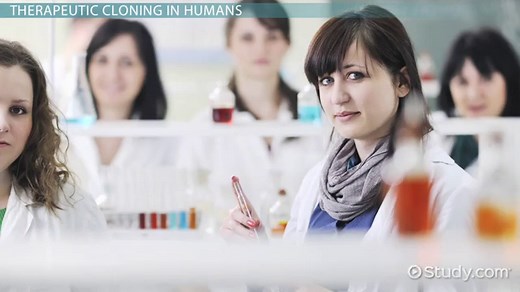 Human Cloning Definition, Pros & Cons