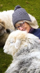 21K views · 273 reactions | At Yew Tree Farm, locals and tourists...