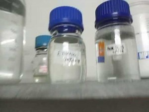 Chemicals required for DNA extraction by the CTAB method