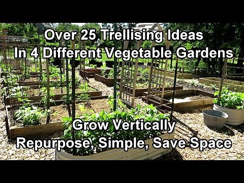 Over 25 Vegetable Garden Trellising Designs: Crop Examples, Materials, Vertical Growing Ideas