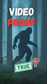 Why the Patterson Gimlin Film Still Matters