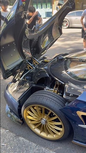 Dissected Pagani #FAD #Pagani #paganihuayra #huayra #V12 #italian #engineering #fyp