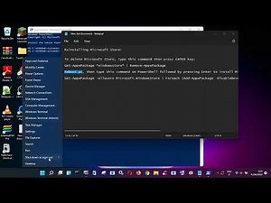 How to Reinstall Microsoft Store on Windows 11/10