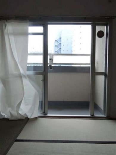 brain storm #japanvibes #calm #vibes #viralvideo #fypシ゚ #fyp