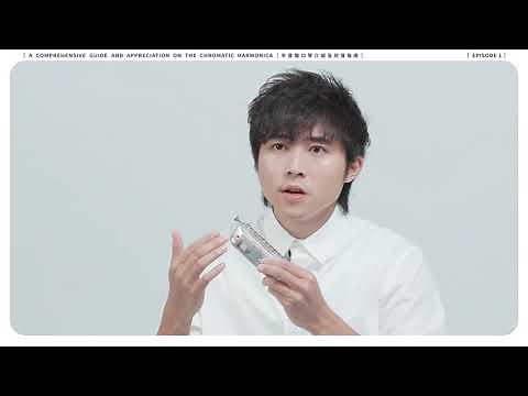 Chromatic Harmonica Tutorial Ep1 - The Mechanics
