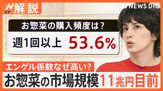 G7の中でも高水準に…日本のエンゲル係数なぜ高い？ お惣菜 市場規模は年々拡大し11兆円目前【Nスタ解説】 | TBS NEWS DIG