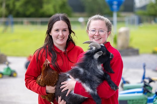 💜💛 One of north Wexford's most-loved family friendly tourist attractions, the award-winning Kia Ora Mini Farm - Maura O’Donohoe opened the farm in 1991 after seeing an interest from visitors to her B&B in visiting farm animals and learning about them. The farm has remained a family business with Maura’s son Pádraig taking over the reins in 2008. The farm is flourishing and offers visitors a great value day out for all ages where adults can relax while children can safely enjoy good old fashion