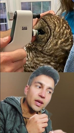 A Gentle Tap on the Eye 😵: How iCare’s Plastic Probe Measures Pressure