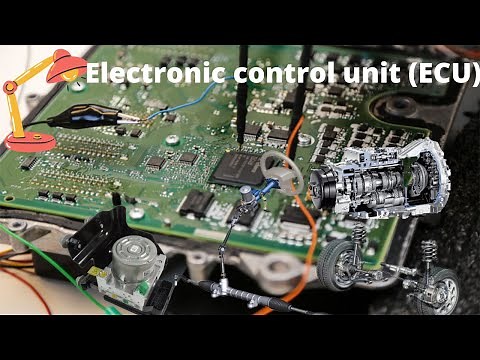 what is An electronic control unit and What is the different type of ECU?(ECM, PCM, BCM, TCM, …)